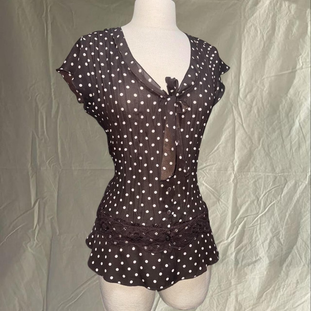 Brown Polka Dot Lace Trim Tie Blouse
